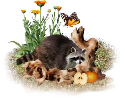 őszi állatok_96.png